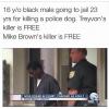 16 year old black male going to jail 23 years for killing a police dog, treyvon's killer is free, mike brown's killer is free