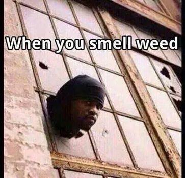 when you smell weed