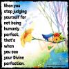 when you stop judging yourself for not being humanly perfect, that's when you see your divine perfection