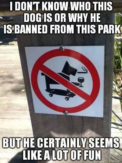 i don't know who this dog is or why he is banned from this park, but he certainly seems like a lot of fun, sign of dog smoking while skateboarding and drinking wine