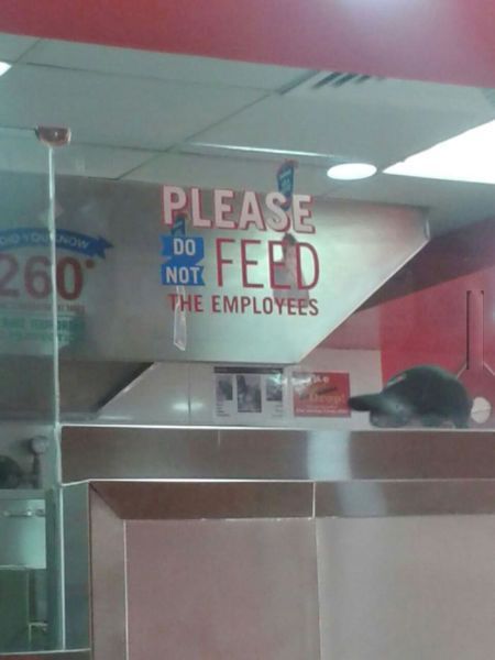 please do not feed the employees