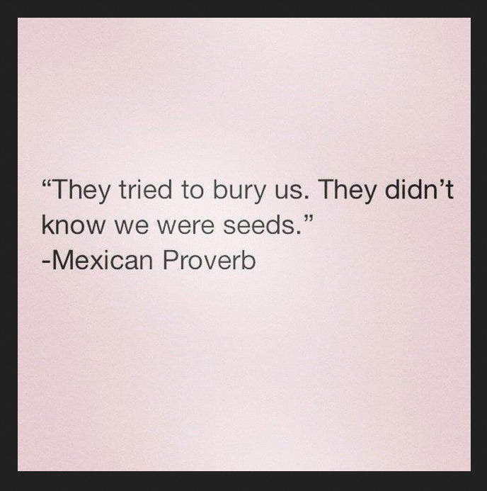 they tried to bury us, they didn't know we were seeds, mexican proverb