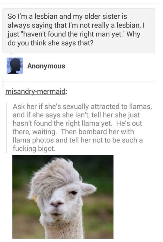so i'm a lesbian and my older sister is always saying that i'm not really a lesbian, i just haven't found the right man yet, ask her if she is sexually attracted to llamas, lol