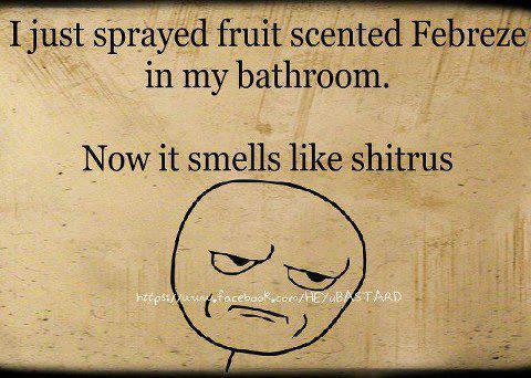 i just spayed fruit scented febreze in my bathroom, now it smells like shitrus
