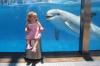 this little girl is not as happy to see this dolphin as he is to see her