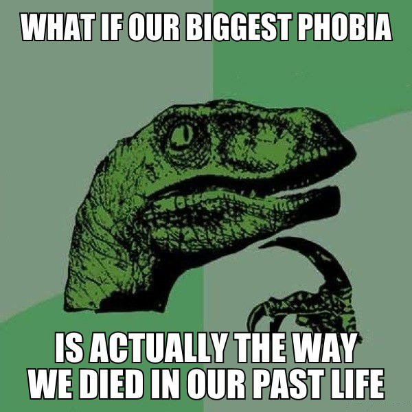 what if our biggest phobia is actually the way we died in our past life, philoceraptor, meme