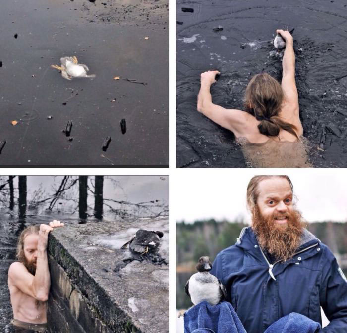 this man saved a fuck stuck under the ice in a lake