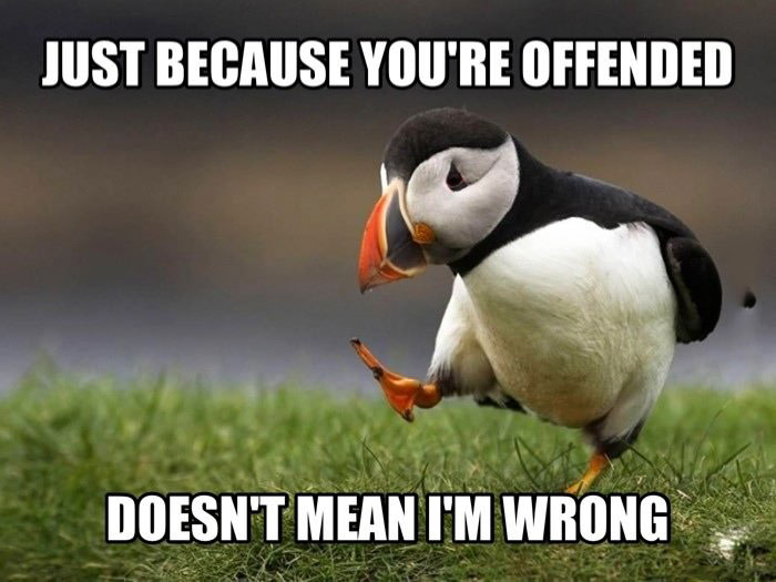 just because you are offended, doesn't mean i'm wrong, unpopular opinion puffin, meme