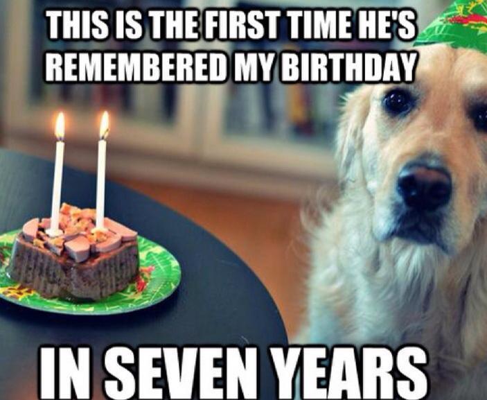 this is the first time he's remembered my birthday in seven years, dog problems, meme