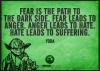 fear is the path to the dark side, fear leads to anger and anger leads to hate, hate leads to suffering, yoda