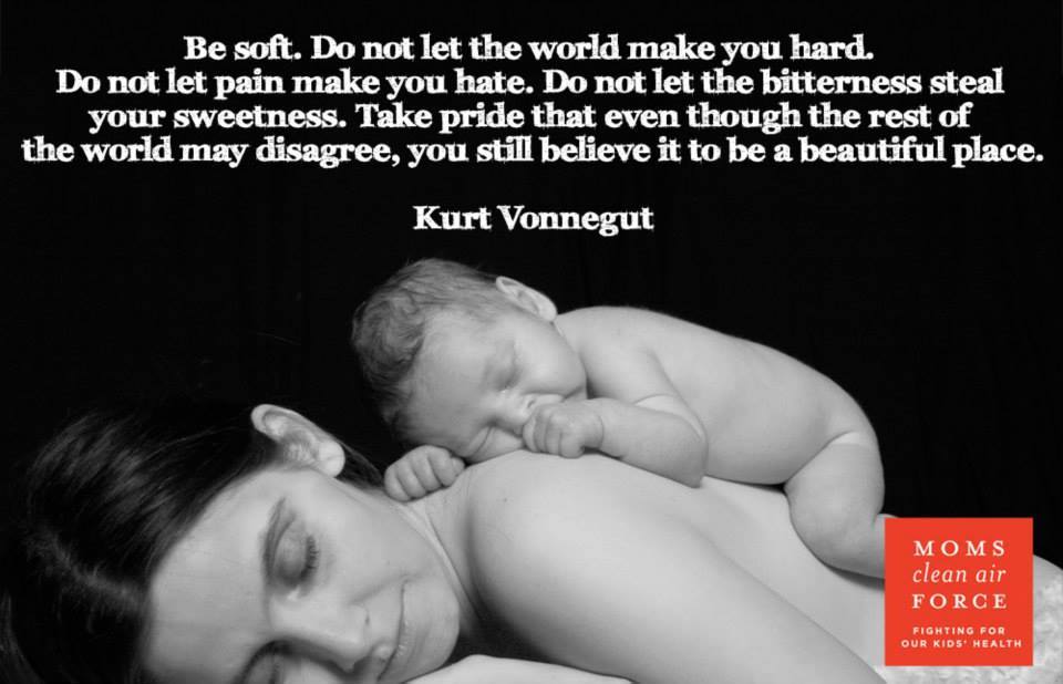 be soft, do not let the world make you hard, do not let pain make you hate, take pride that even though the rest of the world may disagree, you still believe it to be a beautiful place, kurt vonnegut