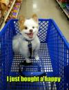 i just bought a happy, cute dog in shopping cart