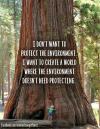 i don't want to protect the environment, i want to create a world where the environment doesn't need protecting