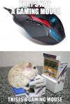 that's not a gaming mouse, this is a gaming mouse, meme