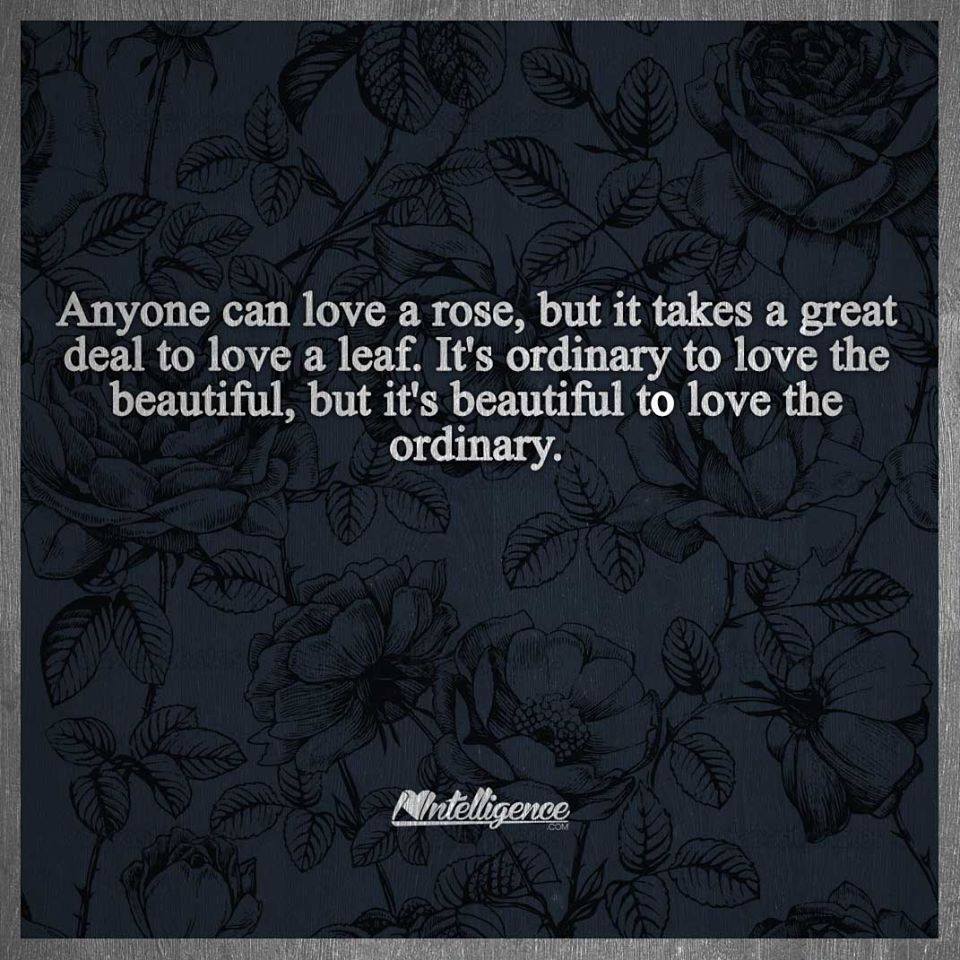 anyone can love a rose, but it takes a great deal to love a leaf, it is ordinary to love the beautiful, it is beautiful to love the ordinary