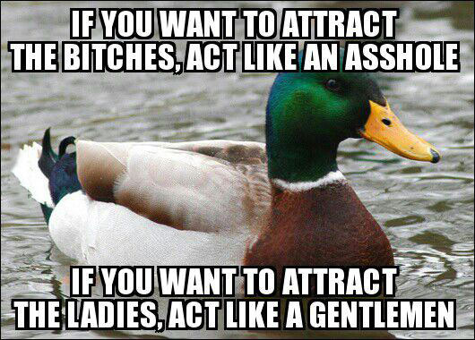 if you want to attract the bitches, act like an asshole, if you want to attract the ladies, act like a gentlemen, actual advice mallard, meme