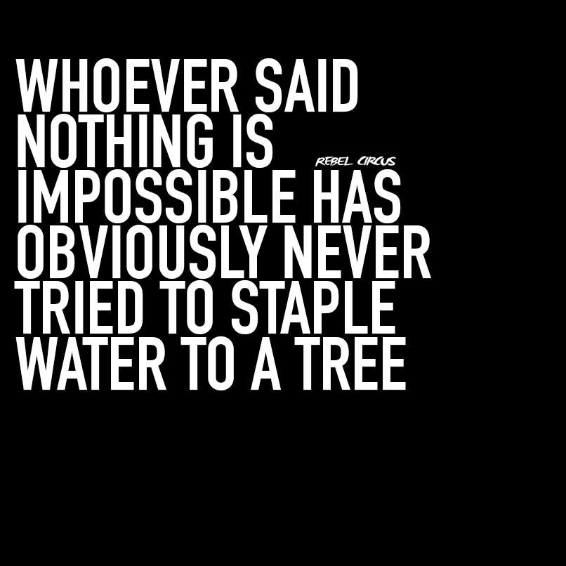 whoever said nothing is impossible has obviously never tried to staple water to a tree