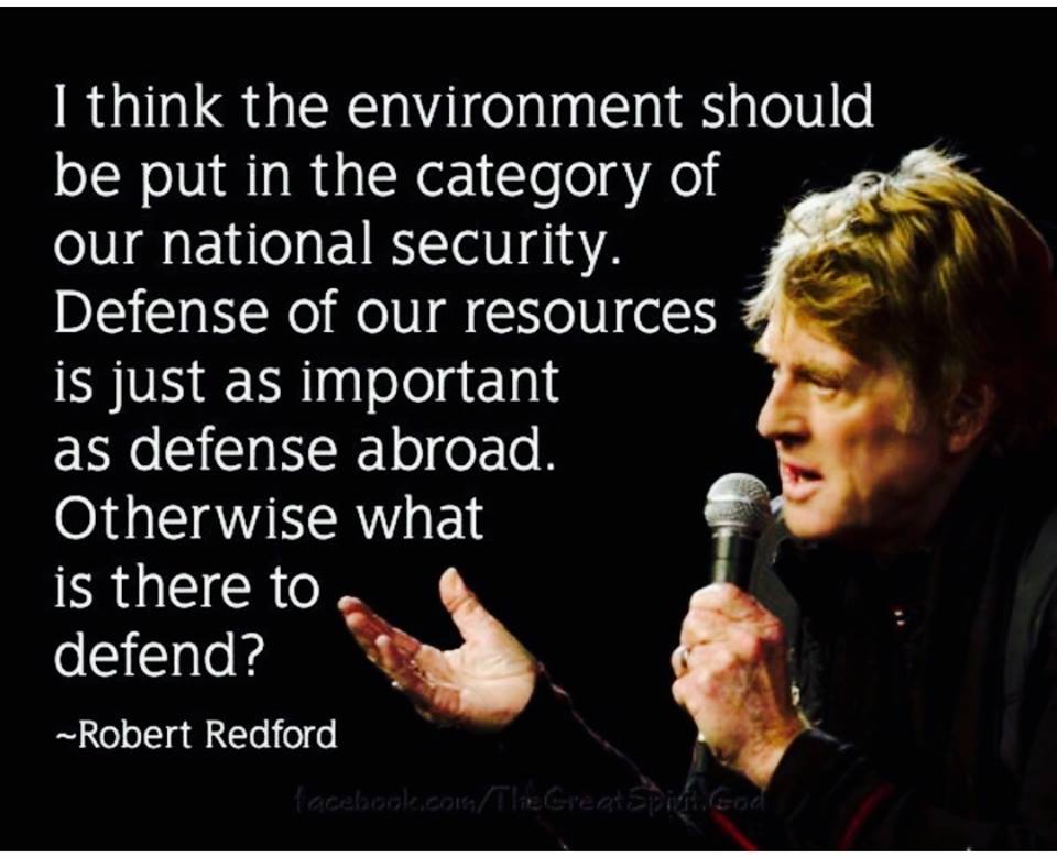 i think the environment should be put in the category of our national defence, otherwise what is there to defend?, robert redford