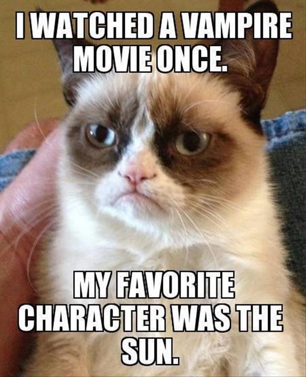 i watched a vampire movie once, my favorite character was the sun, grumpy cat