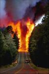 forest fire makes road look like it is the highway to hell