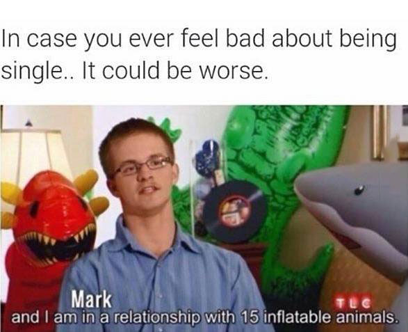 in case you ever feel bad about being single, it could be worse, my name is mark and i am in a relationship with 15 inflatable animals