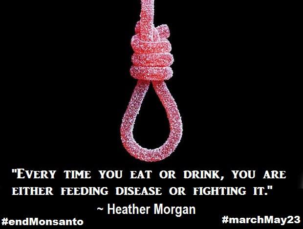 every time you eat or drink, you are either feeding disease or fighting it, heather morgan