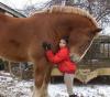 ridiculously large horse or tiny girl?