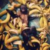 happy monkey lying in bananas