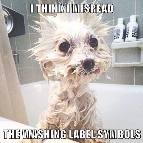 i think i misread the washing label symbols, dog in bath with funky fur