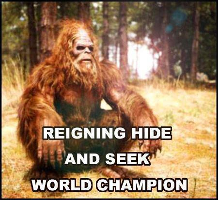 reigning hide and seek world champion, big foot, meme