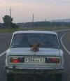 russian version of r2d2, dog with head coming out the top of the trunk of a car