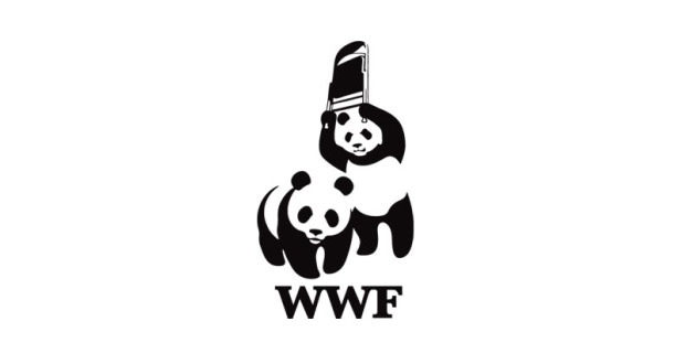 wwf, wrestling panda holding chair, wtf, lol