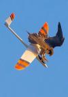 eagle taking down  remote control plane, this sky isn't big enough for the both of us