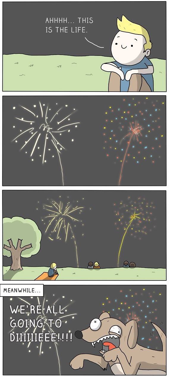 how dogs experience new year's eve fireworks
