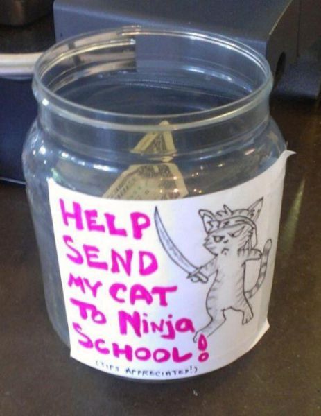 help send my cat to ninja school tip jar
