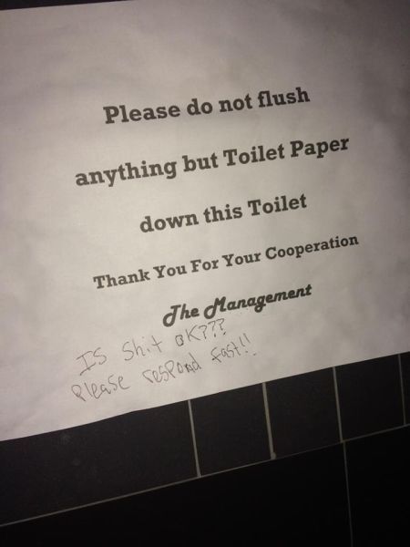 please do not flush anything but toilet paper down the toilet, thank you for your cooperation, is shit ok? please respond fast