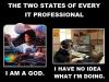 the two states of every it professional, i am a god, i have no idea what i'm doing
