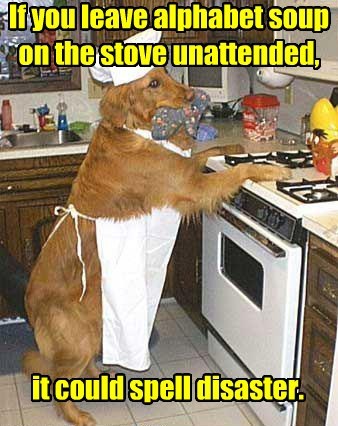 if you leave alphabet soup on the stove unattended it could spell disaster, dad joke dog, meme