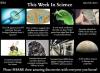 this week in science, 8th february 2015