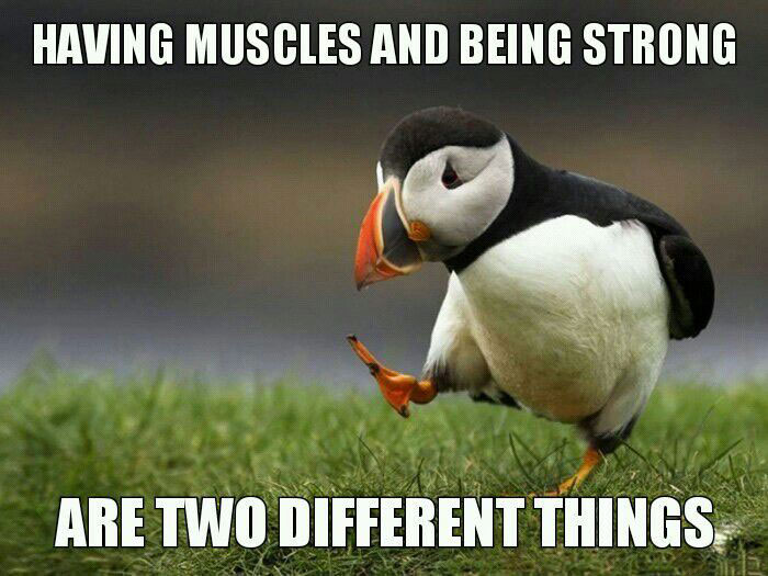 having muscles and being strong are two different things, unpopular opinion puffin, meme