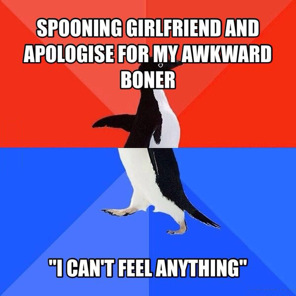 spooning girlfriend and apologize for my awkward boner, i can't feel anything, socially awkward penguin, meme