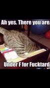 ah yes there you are, under f for fucktards, cat with head in filing cabinet