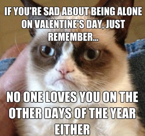 if you're sad about being alone on valentine's day, just remember that no one loves you on the other days of the year either, grumpy cat, meme