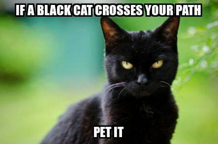 if a black cat crosses your path, pet it, meme