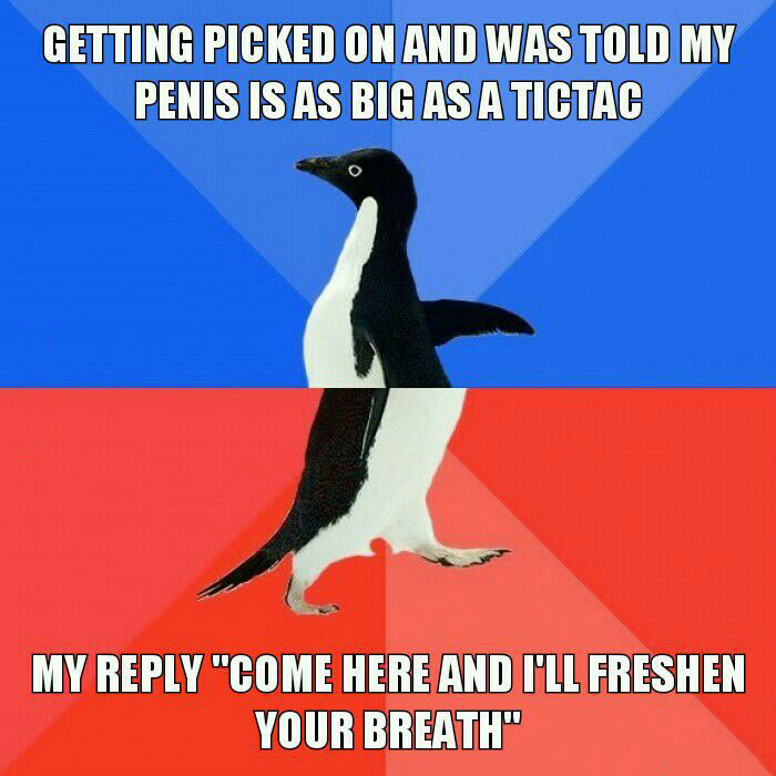 getting picked on and was told my penis is as big as a tic tac, my reply "come here and i'll freshen your breath", socially awkward penguin, meme