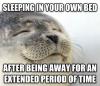 sleeping in your own bed after being away for an extended period of time, satisfied seal, meme