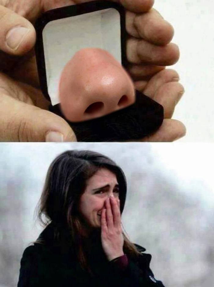 i don't know why this makes me laugh, nose in ring case