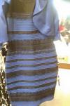 apparently some people see white and gold and other see blue and black, what colors do you see in this dress?
