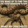 you wake up to find this on your bedroom floor, what do you do?, spider snake