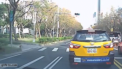 cyclist left standing after hit by a car, accident, win, wtf
